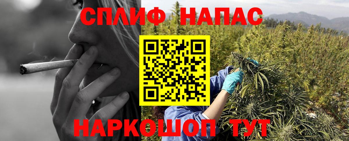 Шишки марихуана конопля  Шишки марихуана планчик  Канабис SATIVA & INDICA  Ачхой-Мартан  Вход с VPN 